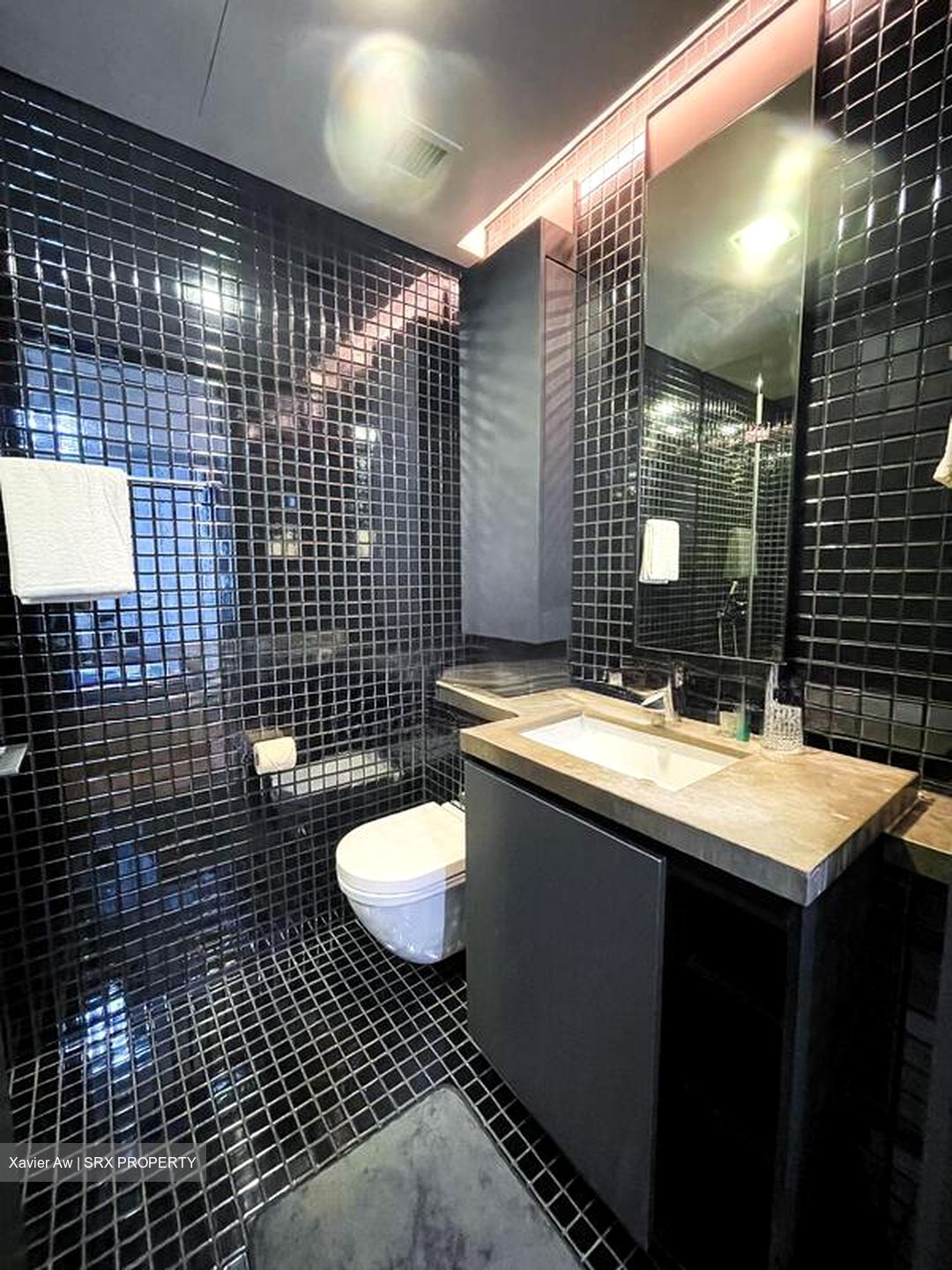 Skysuites@Anson (D2), Apartment #522276551